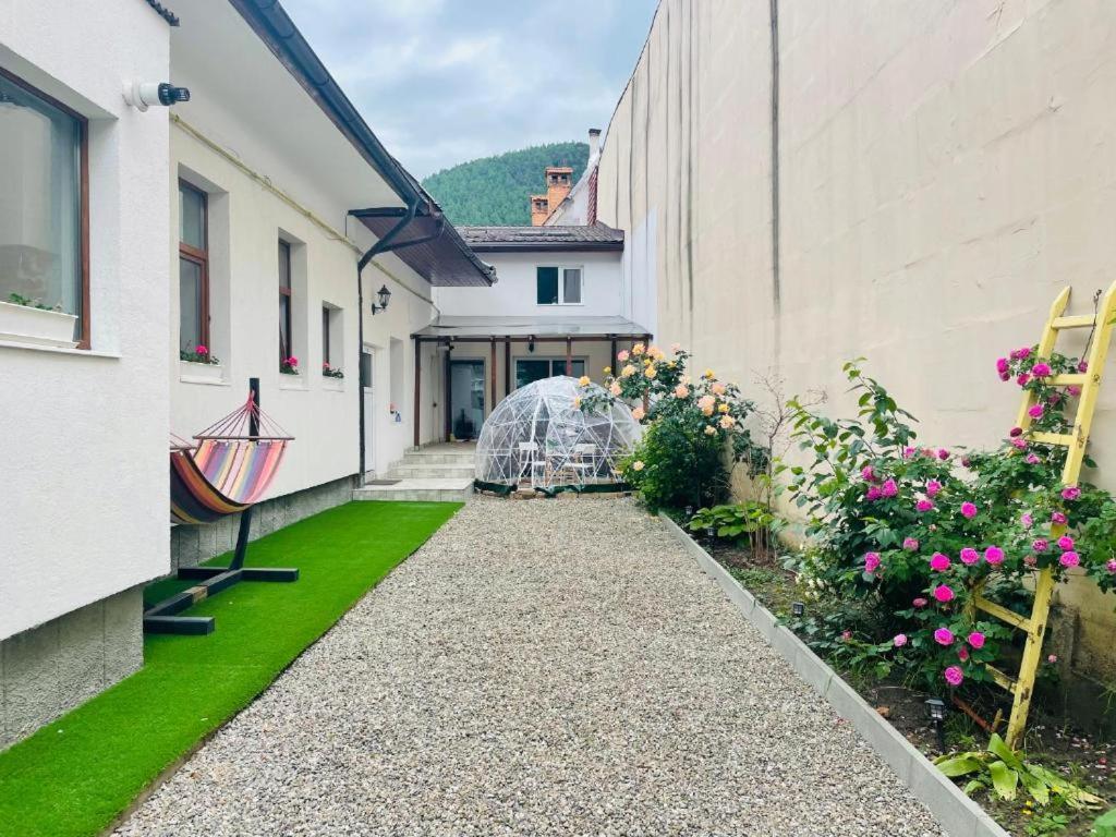 Апартаменты Schei Brasov-Скей Брашов Экстерьер фото